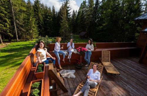 Pribylina Villa | Villa Drosera s wellnessom, Račkova dolina v Západných Tatrách