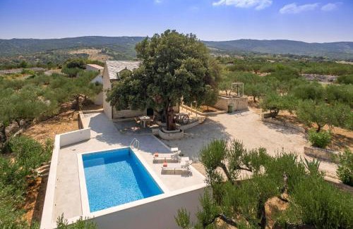 Pucisca Villa | Villa Dubrava Peaceful Getaway in an Olive Grove with Heated Pool