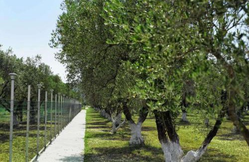 Ormilia House | Villa Elia in Gerakini