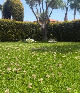 Sant'Anna House | Villa Erika