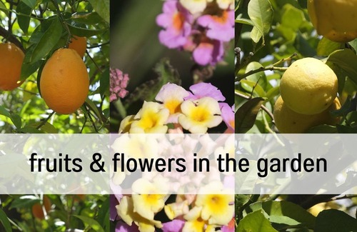 Sa Coma Villa | Villa Feliz in Bunyola