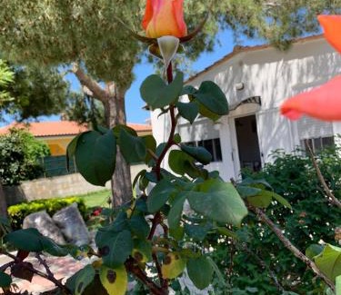 Punta Milocca House | Villa Fiori giardino, 400 m. mare con parcheggio