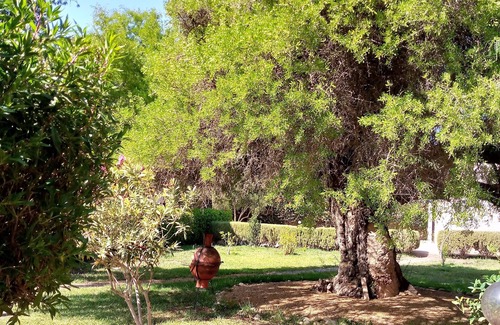 Ida Ougourd Villa | Villa Flora, beautiful garden and pool!