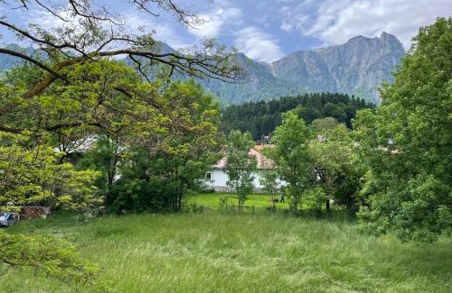 Busteni Villa | Villa Forrest Bușteni