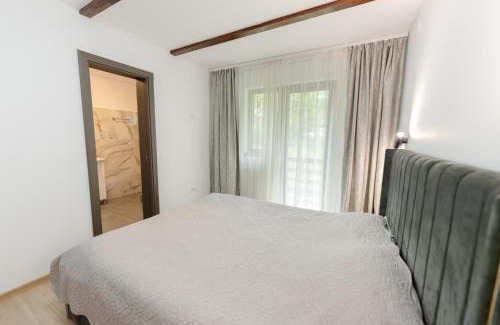 Busteni Villa | Villa Forrest Bușteni