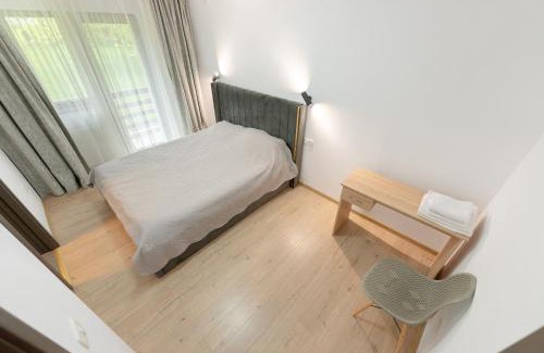 Busteni Villa | Villa Forrest Bușteni