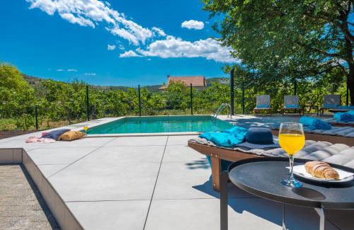 Zupa dubrovacka Apartment | Villa Gold Residence 3