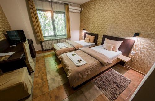 Backa Topola Hotel | Villa Gurman 024