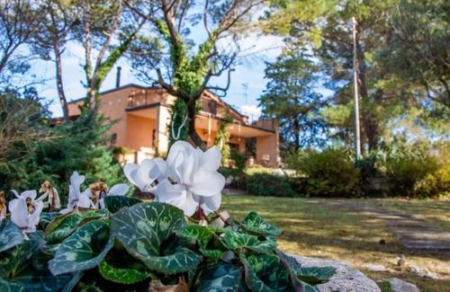 Altamura Villa | Villa 'Hypericum Country House' with Private Terrace and Private Garden