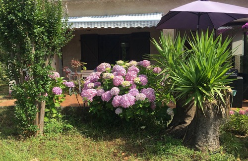 Folelli Villa | Villa in the center of the village with 1400m2 garden with trees