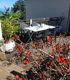 Petite-ÃŽle Apartment | Villa Jamrosat