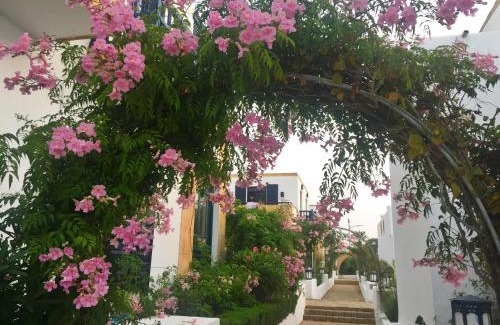 Oualidia Villa | Villa Jardins de la Lagune
