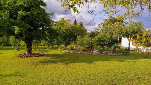 Hopfingen Hotel | Villa Kopp-Das Gästehaus