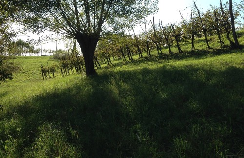 Monfumo House | VILLA LA CIMETTA WITH PRIVATE POOL IN THE HILLS OF ASOLO LAND OF VENICE