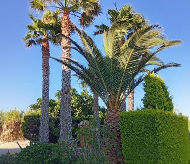 Varos Apartment | Villa Lagosta