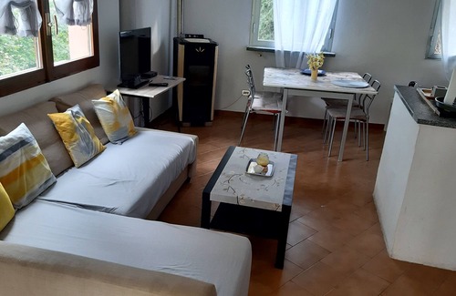Vacciago Apartment | Villa Le Vignole Atmosphere on Lake Orta with 20,000 mt of private parkland