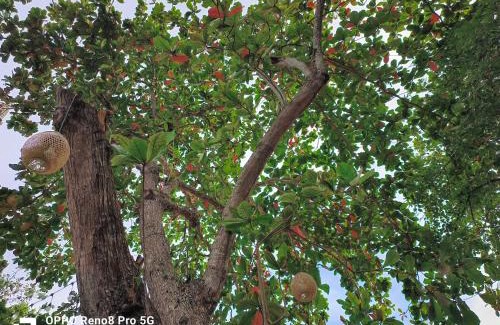 Sai Thai Villa | Villa loved beach 2