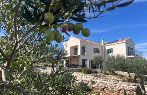 Pucisca Villa | Villa Luisa Pucisca - 2 Häuser, 6 Schlafzimmer Insel Brac - Pool, Grill, Kamin, Tischtennis, Boccia