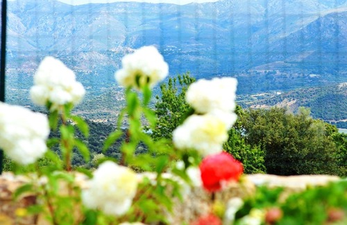 L'Ile-Rousse Villa | Villa Madrale: High-end, very peaceful condo with swimming pool/whirlpool (2-8p)