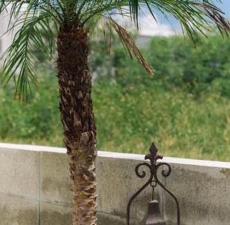 Tokeshi Villa | Villa Mahalo <1日1組限定>