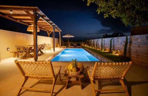 Minoa Pediada Villa | Villa Marianna stone