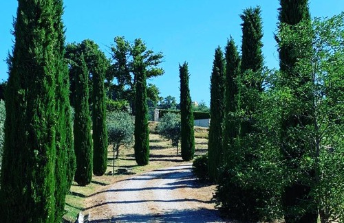 Grutti House | Villa Millefiore