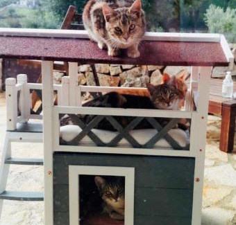 Ostuni Villa | Villa Moresca dei Trulli Fernando