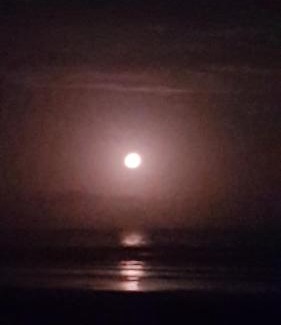 Ponta da Tulha Apartment | Villa na praia Oceanfront Villa