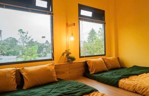 Bao Loc House | Villa Nhà có hai cây Tùng