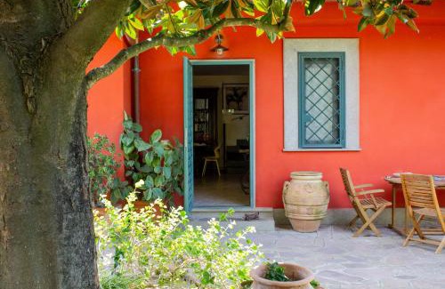 Zona XXX Castel Fusano Villa | Villa Ninfea wonderful garden, business & relax