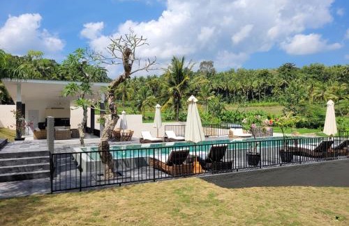 Banjarasri Villa | Villa Norwegia - pool with panorama rice field view