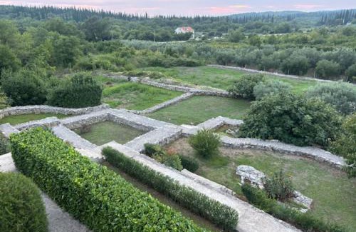 Popovici Villa | Villa Oasis Cypress