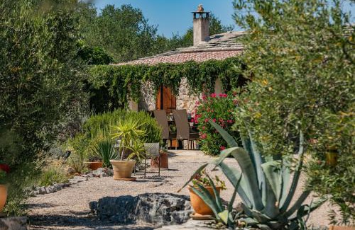 Cove Basina (Jelsa) Villa | Villa Oxa Dreamland