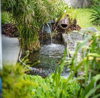 Gourbeyre Villa | Villa Paisible, proche de la Soufrière