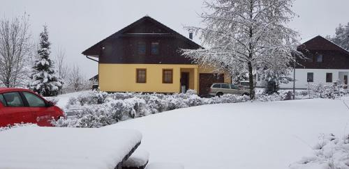 Lipno nad Vltavou Villa | Villa Park Lipno 206