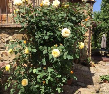 Cefalu Villa | Villa Rosina