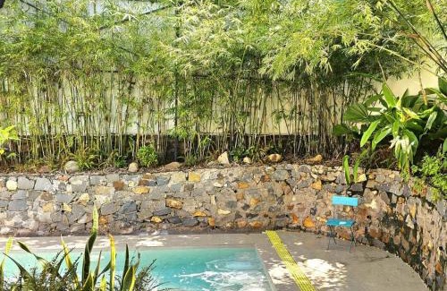 Vung Tau Villa | Villa Sân Vườn Hồ bơi - Valley House