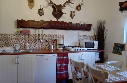 Porumbacu de Jos Villa | Villa Serbota with 2000 sqm garden and creek