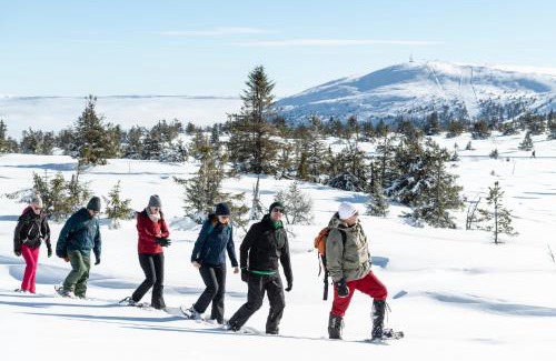 Innbygda Bed & Breakfast | Villa Sole, Trysil