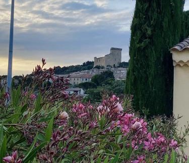 Chateauneuf-du-Pape Villa | Villa Syrah