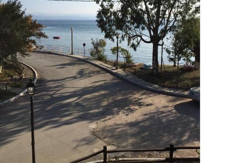 Platania Villa | Villa Tama