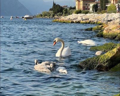 Magugnago House | Villa Torre - Atmosfera Romantica