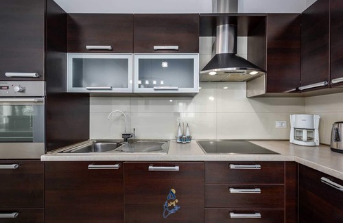 Tinjan Villa | Villa with pool and wellness, privacy guaranteed