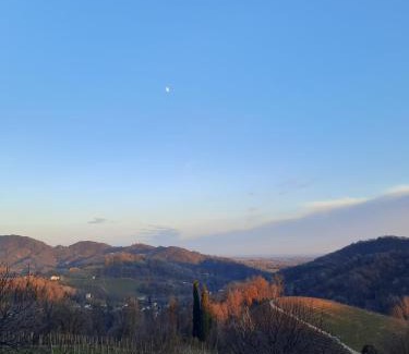 Tarzo House | Ville d'Arfanta