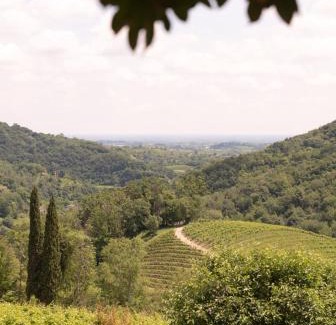 Tarzo House | Ville d'Arfanta