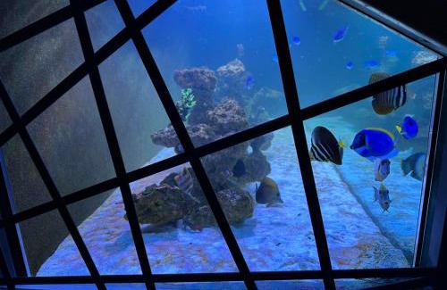 Panagyurishte Apartment | Vimar Apartments