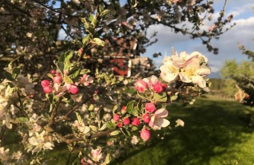 Vimmerby House | Vimmerby Lilla utsikten