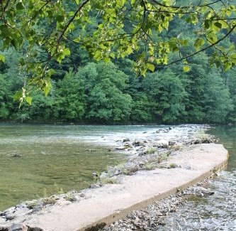 Crnomelj Apartment | Vineyard cottage Kolpa Zupančič