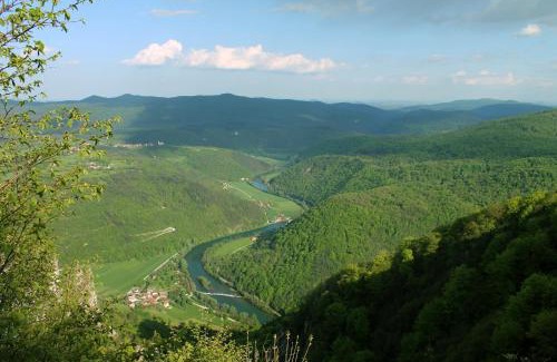 Crnomelj Apartment | Vineyard cottage Kolpa Zupančič