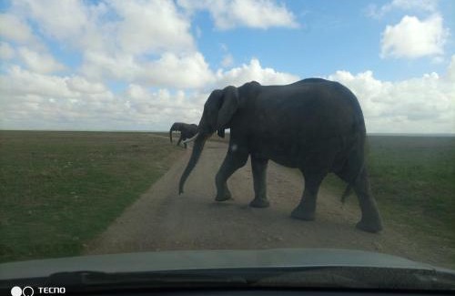 Kimana House | VINTEX GUEST HOUSE